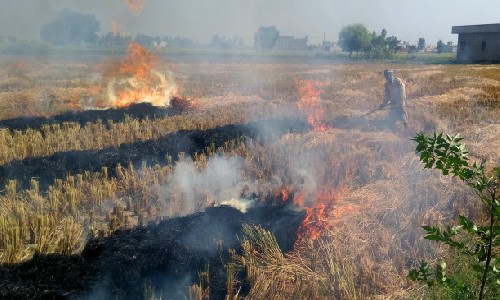 राजस्थान में शराब ठेकेदार ने वेतन मांगने पर दलित सेल्समैन को जिंदा जलाया