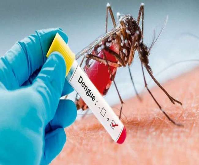 जांच में गलत नंबर दर्ज होने से नहीं मिल पा रहा डेंगू का दूसरा मरीज