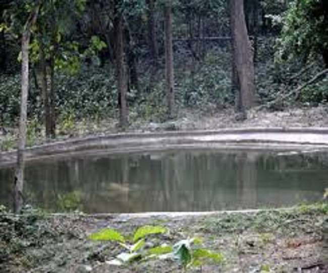 फतेहपुर रेंज में बाघ-तेंदुए की प्यास बुझाने के लिए पांच किमी दूर से हो रही पानी की सप्लाई