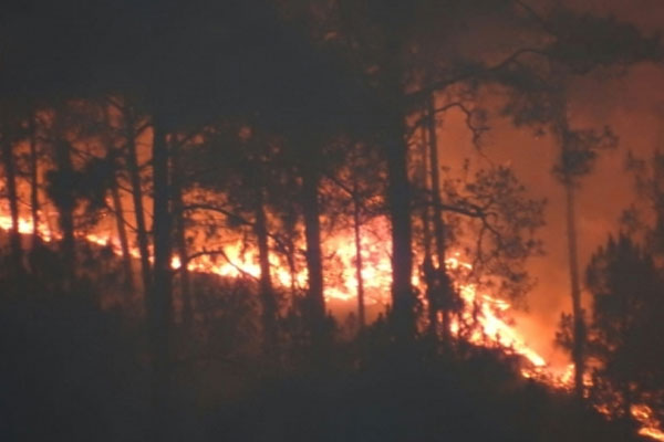 जंगल की आग का मॉनसून कनेक्शन, बारिश से जंगल में आग की घटनाओं में आ सकती है कमी