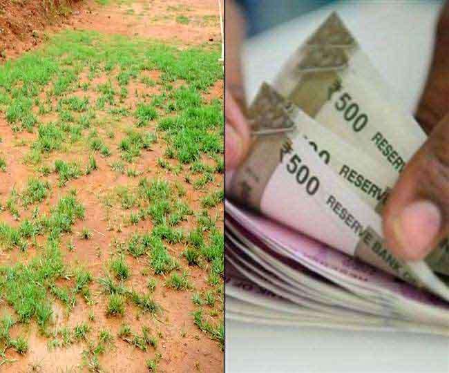हरियाणा में अब नहीं हो पाएगा जमीन अधिग्रहण का खेल, सरकार किसानों से सीधे खरीद रही जमीन