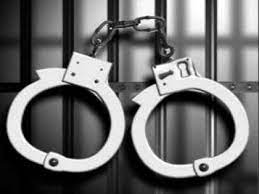 नॉएडा में शाम सुंदर भाटी गिरोह के सक्रिय बदमाश को पुलिस ने तमंचा और कारतूस के साथ किया गिरफ्तार