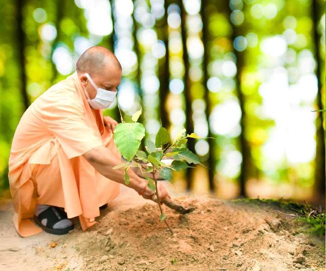 उत्तर प्रदेश में 25.51 करोड़ पौधे लगाकर किया पौधरोपण का लक्ष्य पूरा