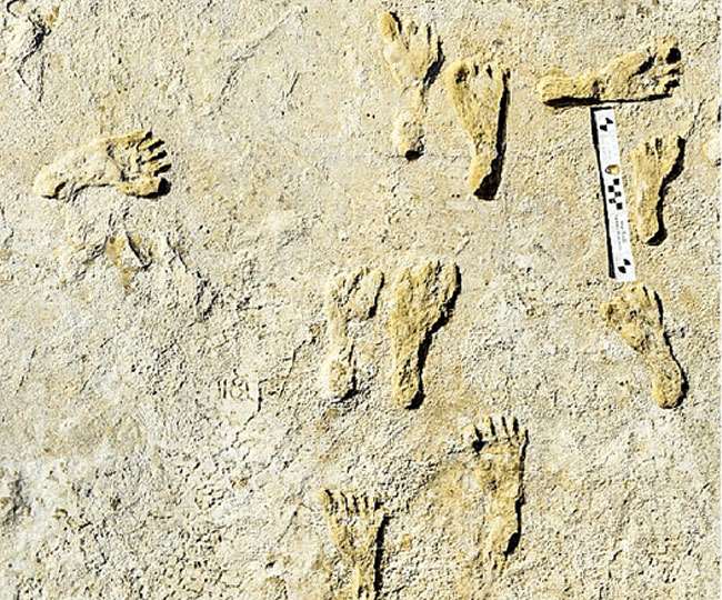 Ancient Footprints: 23,000 साल पुराने मानव पदचिह्न मिले, इस तरह हुई खोज