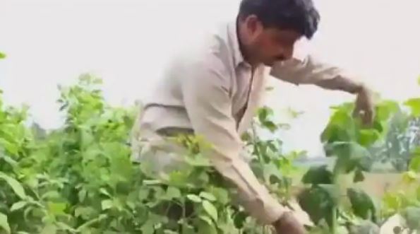 पीएम किसान: 4000 रुपये पाना है तो 30 सितंबर तक कर लें यह काम