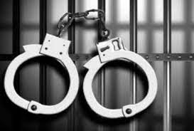 बादलपुर पुलिस ने लूट और चोरी के मामले में चार दबोचे