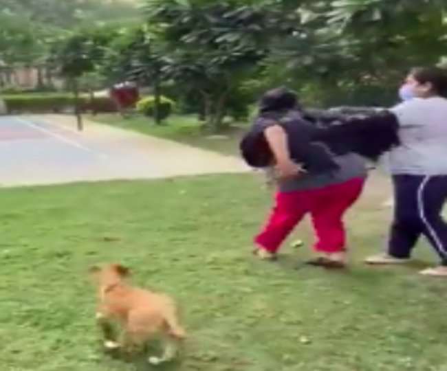 अरे ये क्या कुत्तों को लेकर ही दो महिलाओं में 'दे दनादन', मारपीट का वीडियो हुआ वायरल