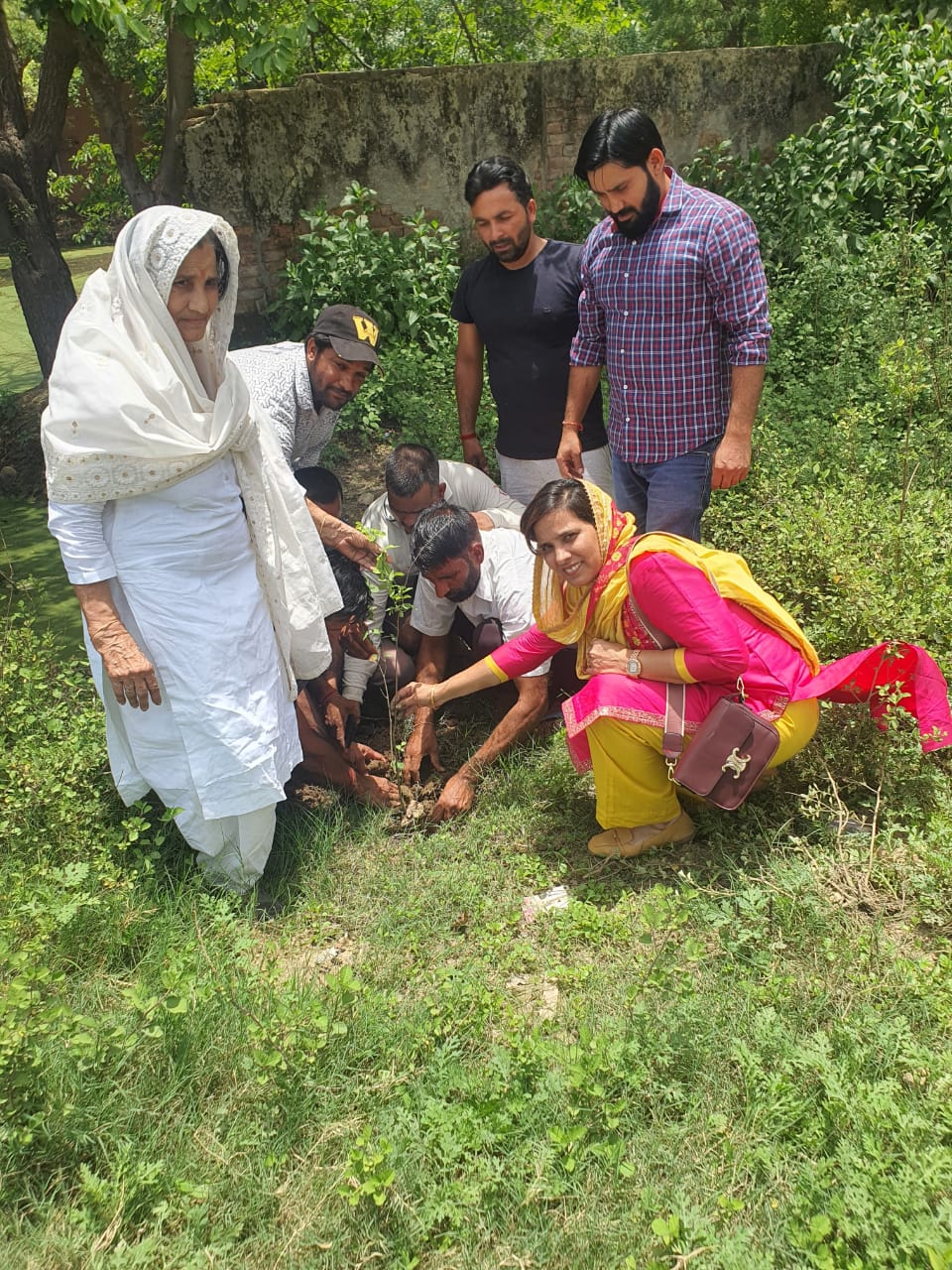पर्यावरण दिवस पर माता गुर्जरी पन्नाधाय ट्रस्ट एवं दादूपुर विकास समिति द्वारा 51 पौधे लगाए
