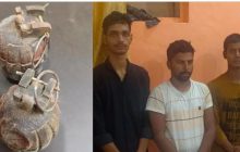 यूपी STF की बड़ी कार्रवाई, गाजीपुर से 2 जिंदा हैंड ग्रेनेड बरामद कर 6 लोगों को धर दबोचा; बेचने की फिराक में थे आरोपी