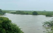 OMG: यमुना नदी में आई बाढ़, जेवर में सैकड़ों बीघा फसल हुई जलमग्न