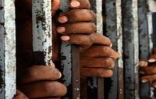 उम्रकैद की सजा पाए सभी 11 दोषियों को रिहा किया गया, गुजरात सरकार का फैसला