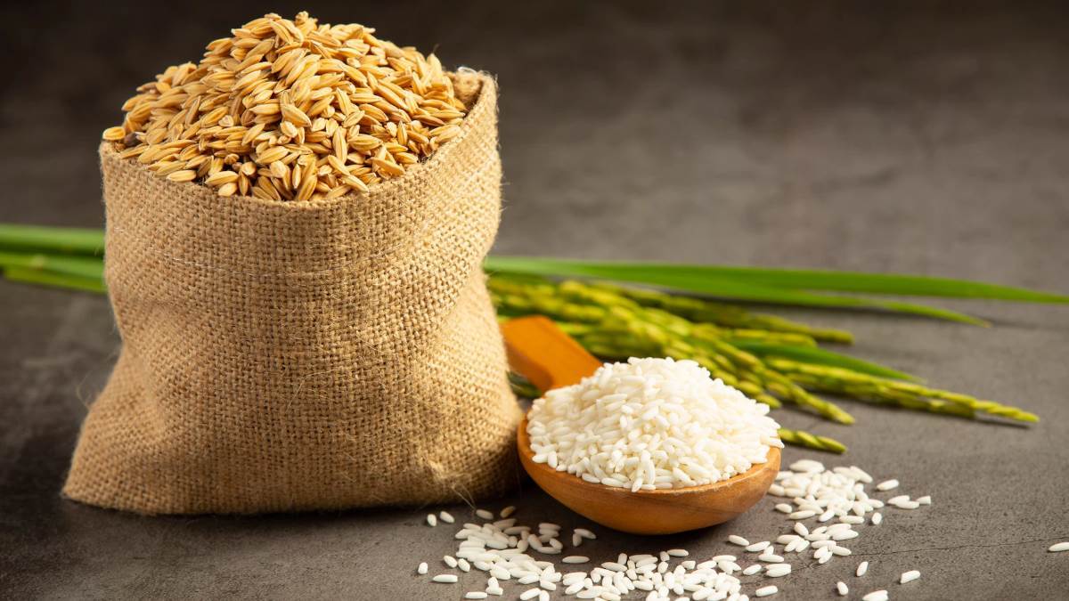 टूटे चावल के निर्यात पर पूरी तरह से प्रतिबंध, सरकार ने आदेश किया जारी