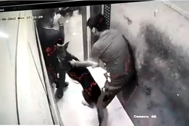गाजियाबाद के बाद नोएडा में पालतू कुत्ते ने लिफ्ट में युवक पर किया अटैक, वीडियो वायरल