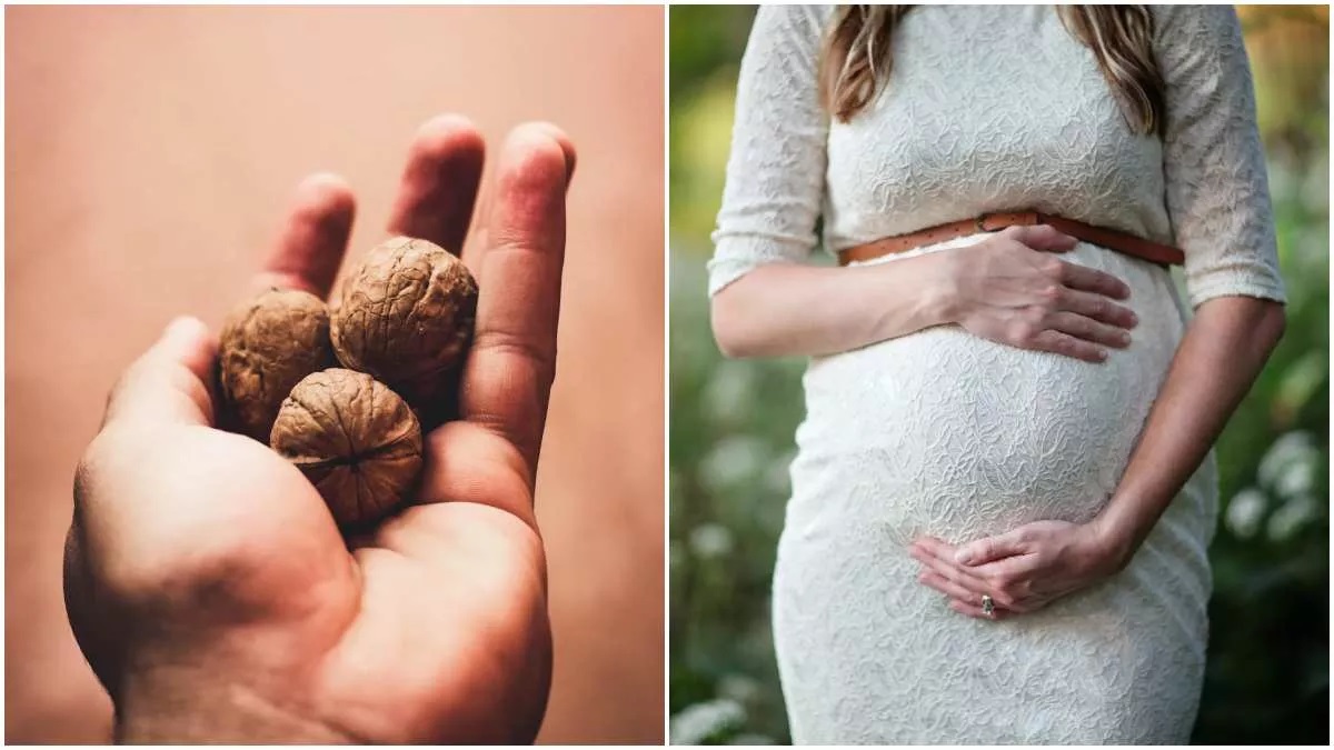 गर्भावस्‍था में अखरोट खाती है मां तो शिशु को मिलते हैं ढेरों फायदे