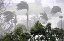 तमिलनाडु पहुंचा चक्रवाती तूफान मंडौस, तेज हवा के साथ भारी बारिश जारी, कई पेड़ उखड़े