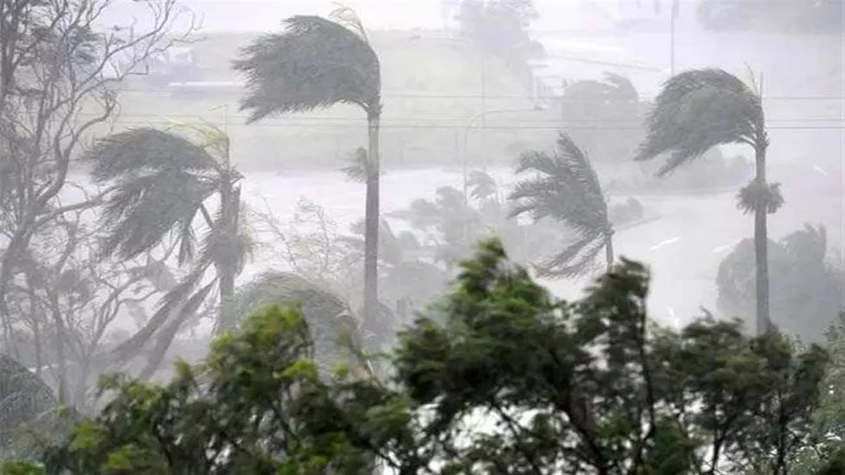तमिलनाडु पहुंचा चक्रवाती तूफान मंडौस, तेज हवा के साथ भारी बारिश जारी, कई पेड़ उखड़े