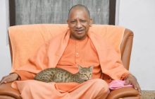 योगी की गोद में बिल्‍ली, ट्विटर पर CM के नाम हुआ साल का अंतिम दिन; ट्वीट-रीट्वीट की झड़ी लगी