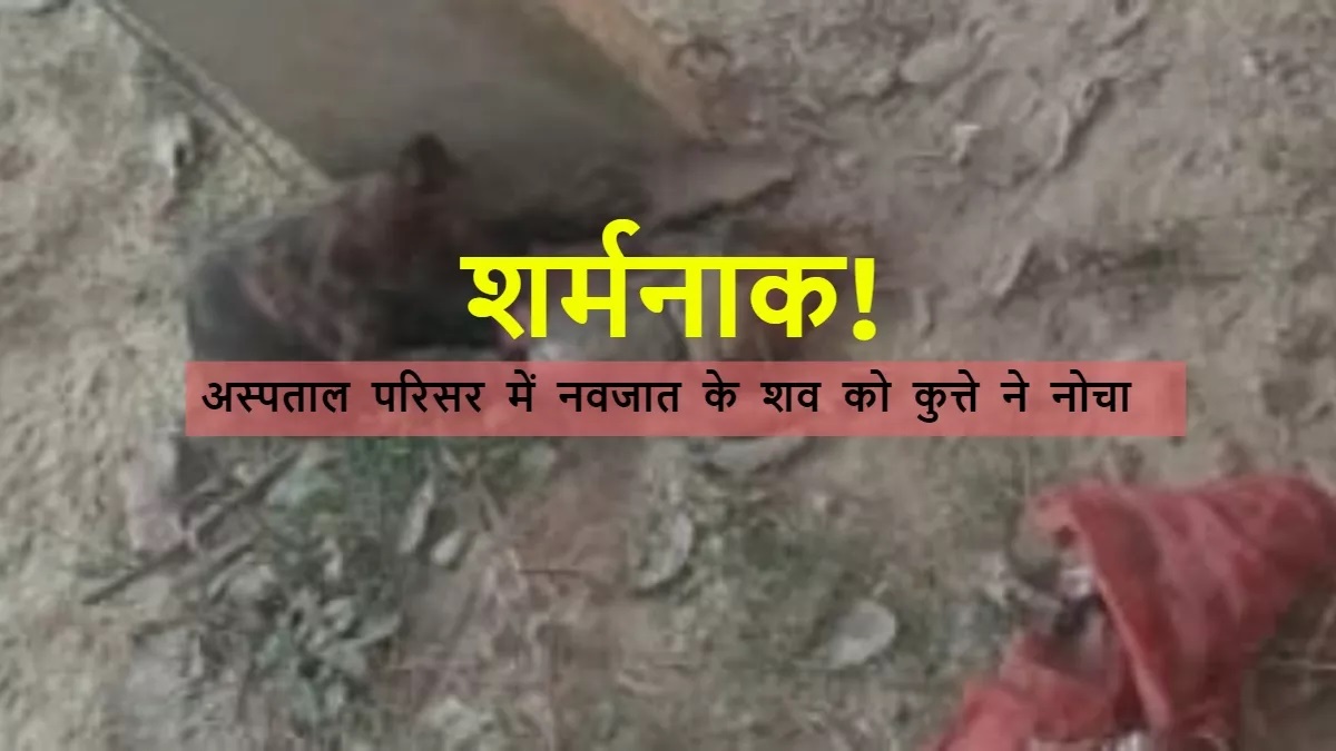कुशीनगर के सीएचसी में नवजात का शव कुत्तों ने नोंचा, तीन महीने में दूसरी बार घटना