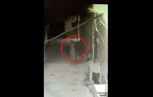 CCTV में कैद हुआ भूत का वीडियो!, सोशल मीडिया पर तेजी से हो रहा है वायरल, देखें VIDEO