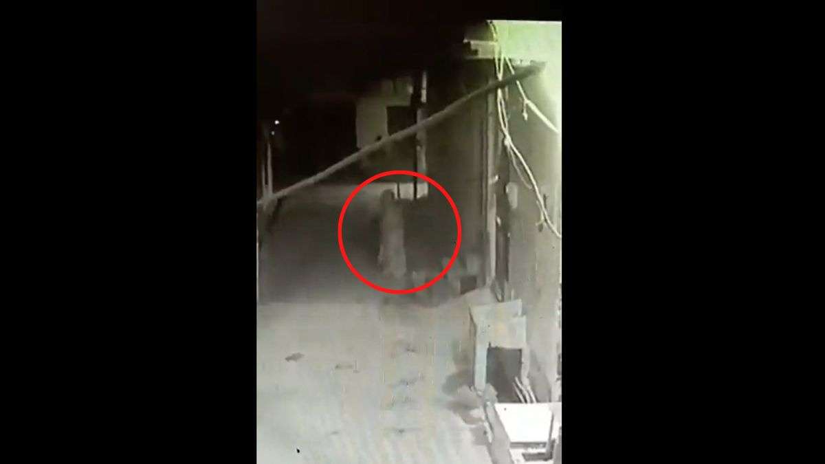 CCTV में कैद हुआ भूत का वीडियो!, सोशल मीडिया पर तेजी से हो रहा है वायरल, देखें VIDEO