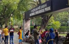 दिल्ली के चिड़ियाघर से चोरी हुए 11 चंदन के पेड़, जांच में जुटी पुलिस