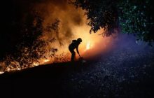 चिली में भीषण गर्मी के बीच दर्जनों जंगल में लगी आग; 13 लोगों की मौत, हजारों जानवर भी प्रभावित