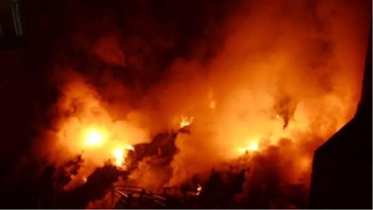 गाजियाबाद में लकड़ी के गोदाम में लगी भीषण आग