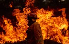 पशुबाड़े में लगी आग, तीन साल की मासूम जिंदा जली, परिवार में मचा कोहराम