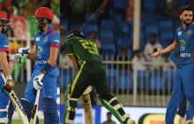 फारुकी के दम पर अफगानिस्तान ने रचा इतिहास, पाकिस्तान के खिलाफ जीती पहली टी20 सीरीज
