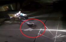 दबंगों ने एक महिला को सरेराह सड़क पर जूते चप्पलों से पीटा, वीडियो वायरल