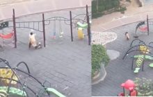 नोएडा की पॉश सोसाइटी में कुत्तों का आतंक, पार्क में टहल रही महिला पर किया हमला, भाग कर बचाई जान