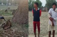 Hardoi News: गांव में घुसा तेंदुआ, 6 लोगों पर किया हमला; दहशत में ग्रामीण