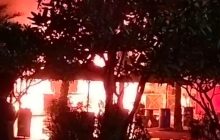 गलगोटिया यूनिवर्सिटी के फूड कोर्ट में तड़के लगी, फायर ब्रिगेड की तीन गाड़ियों ने आग पर पाया काबू कोई हताहत नहीं