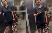 प्रेग्नेंट लेडी ने कुत्ते को मास्क पहनाने को बोला, तो भड़क गई महिला, कहा- मैं नहीं पहनाऊंगी- VIDEO