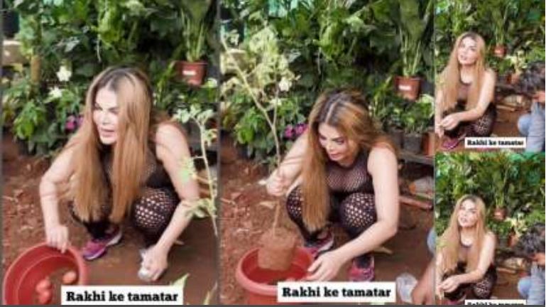 Rakhi Sawant ने बताई 15 दिन में टमाटर उगाने की टेकनीक, बोलीं- कर लिया सातों जन्म का इंतजाम