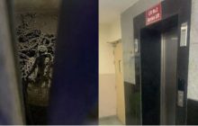 Noida: हाईराइज सोसायटी में 8वें फ्लोर से बेसमेंट में गिरी लिफ्ट, अंदर फंसी महिला ने तड़प-तड़पकर तोड़ा दम