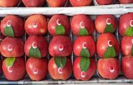 अमेरिकी सेब के आयात पर अतिरिक्त शुल्क हटाने से घरेलू उत्पादकों को नहीं होगा नुकसान, लागू रहेंगी ये दरें