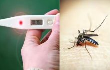 गाज़ियाबाद में डेंगू अलर्ट, डेंगू से मौतों में बढ़ोतरी
