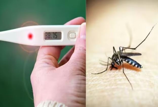 गाज़ियाबाद में डेंगू अलर्ट, डेंगू से मौतों में बढ़ोतरी
