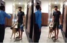 ग्रेटर नोएडा में डॉग बना विवाद: लिफ्ट में कुत्ता ले जाने पर हुई जमकर बहस, वीडियो सोशल मीडिया पर वायरल