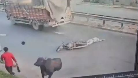 नेशनल हाईवे पर आवारा पशु से टकराकर सड़क पर गिरा बाइक सवार, ट्रक के नीचे आने से हुई मौत