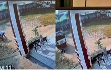 यूपी: मुरादाबाद में स्कूल के अंदर वैन ने LKG की छात्रा को कुचला, CCTV में कैद हुई खौफनाक घटना