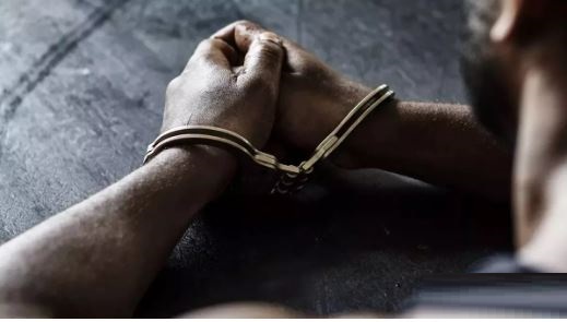नोएडा में शख्स से मारपीट के बाद पिटबुल से कटवाने के आरोप में चार लोग गिरफ्तार