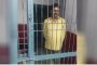 रेव पार्टी में सांप और जहर… सूरजपुर कोर्ट ने 5 आरोपियों को 14 दिनों के लिए न्यायिक हिरासत में भेजा
