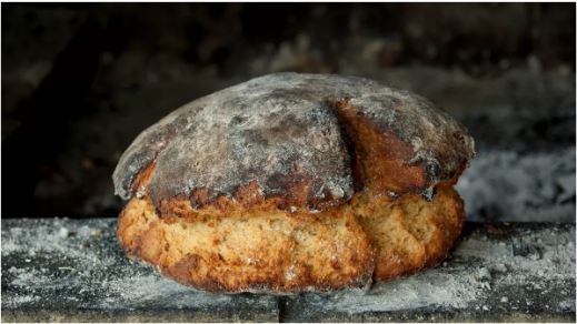 पुरातत्वविदों ने खोजी दुनिया की सबसे पुरानी ब्रेड, 8600 साल बाद भी गोल और स्पंजी, जानें और क्या पता चला?
