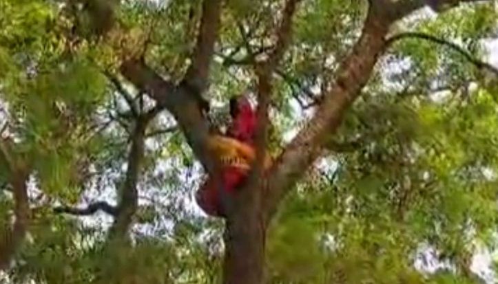 रोजगार छिना तो गले में फंदा और डीजल डालकर पेड़ पर चढ़ी महिला, पुलिस और दमकल कर्मियों को जमकर छकाया
