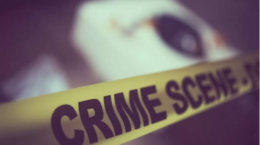 नोएडा में शराबी पति ने महिला के सिर पर ईंट से वार कर की हत्या